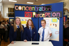 Science Fayre 2014